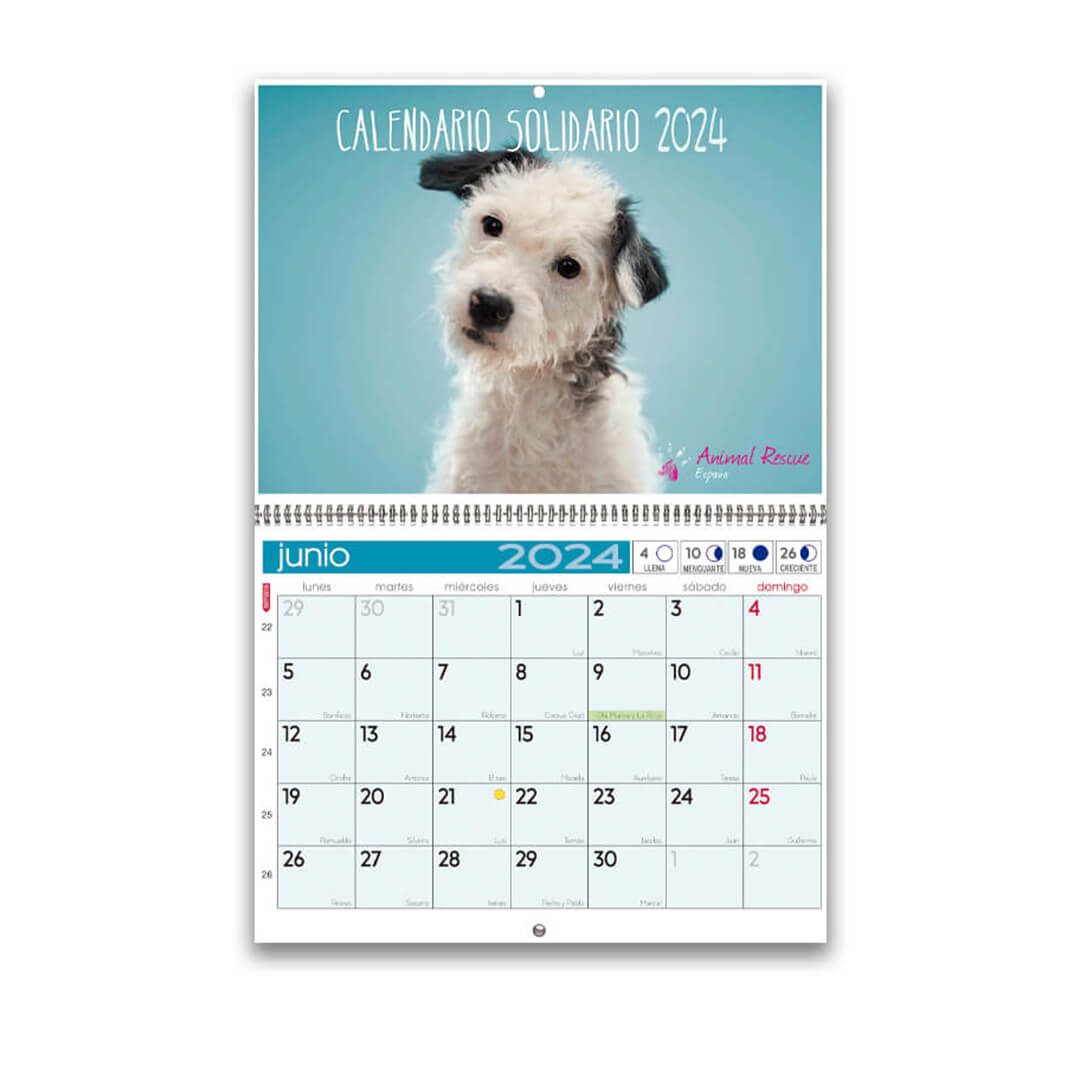 Calendario de pared con espiral